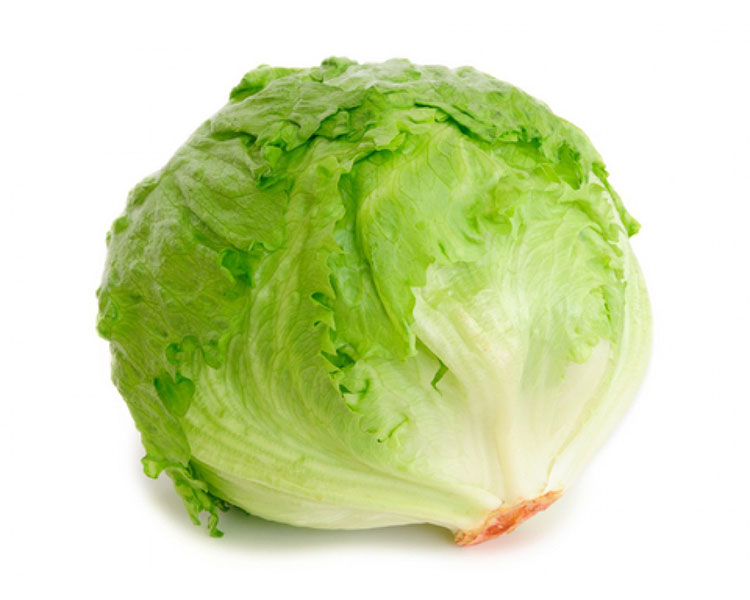 Lechuga Iceberg