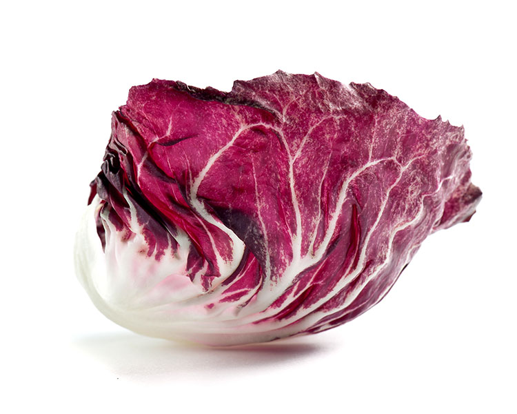 Radicchio
