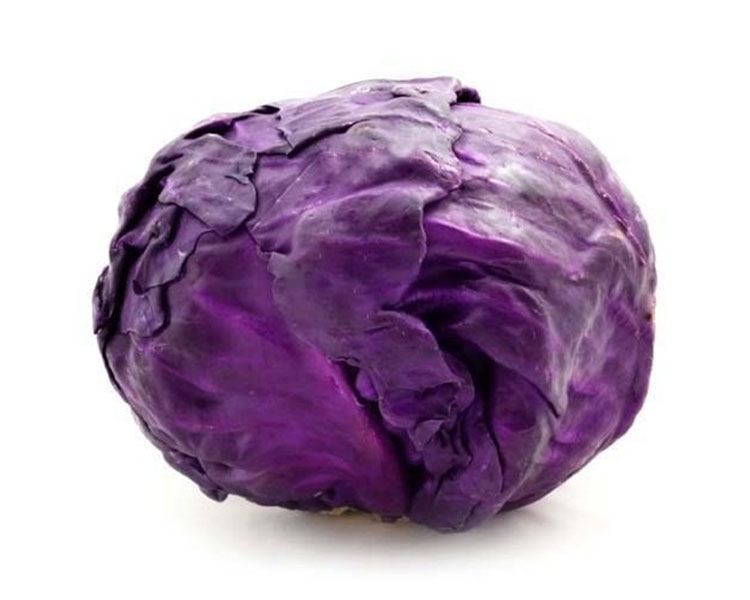 Repollo Morado