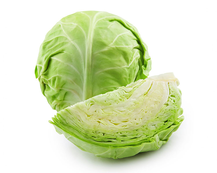 Repollo Verde