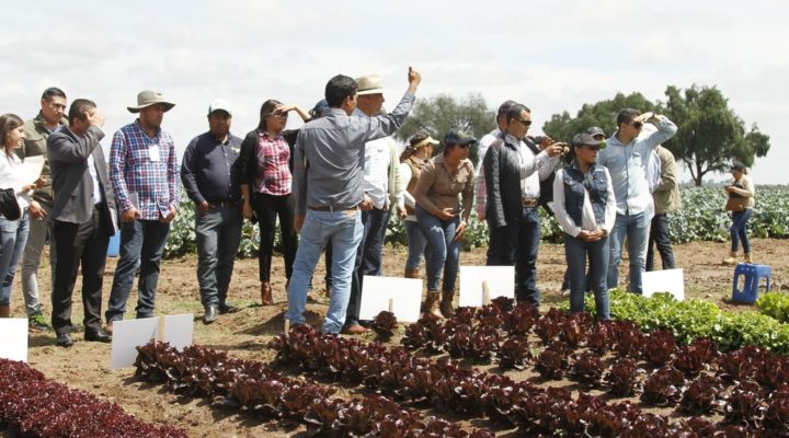 Difundiendo la Cultura Orgánica 2017